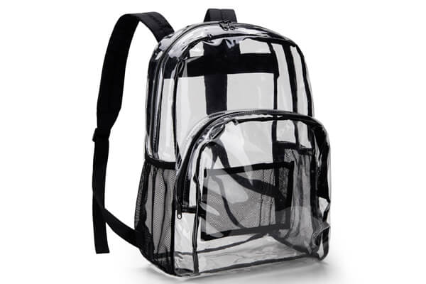 Transparent Backpack