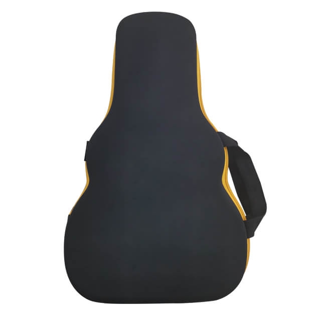 guitar case