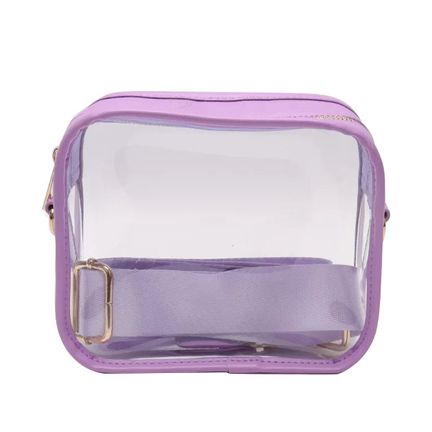 transparent messenger bag